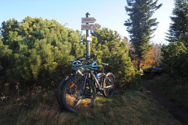 Circuits VTT C01 : Les hauteurs de Schirmeck