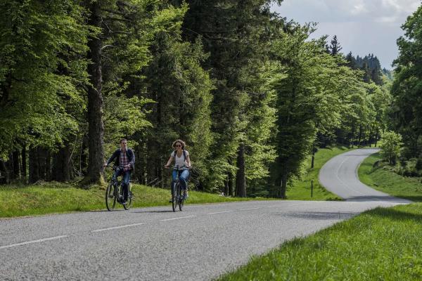 Circuit vélo C04 : Autour du Champ du feu en passant par Natzwiller