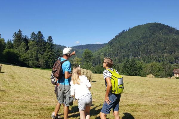 Circuit poussettes C03 : Sur la route de Plaine aux Quelles
