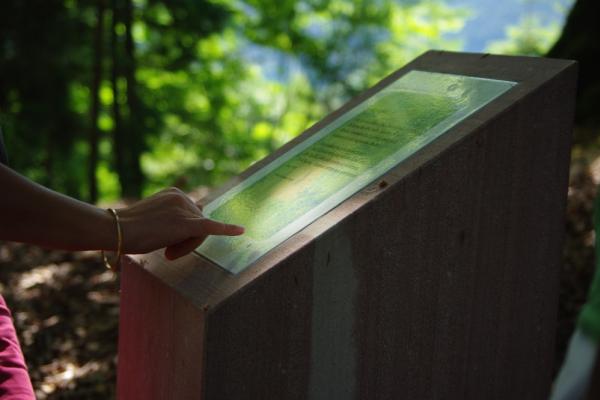 Circuit poussettes 4x4 C01 : sur le chemin de la poésie