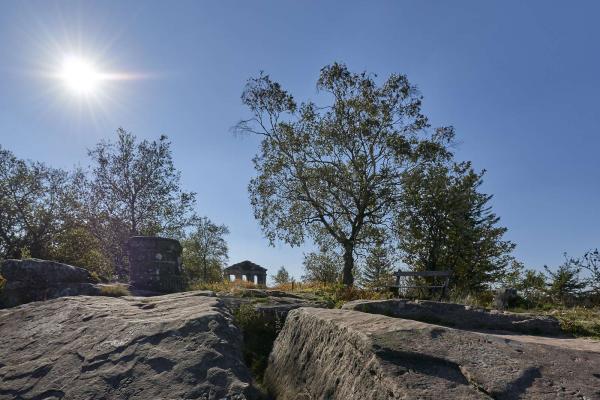 Circuit poussettes 4x4 D03 : vers le Donon