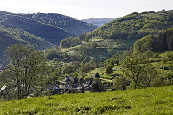 Circuit poussettes 4x4 C05 : Sur les hauteurs de Schirmeck