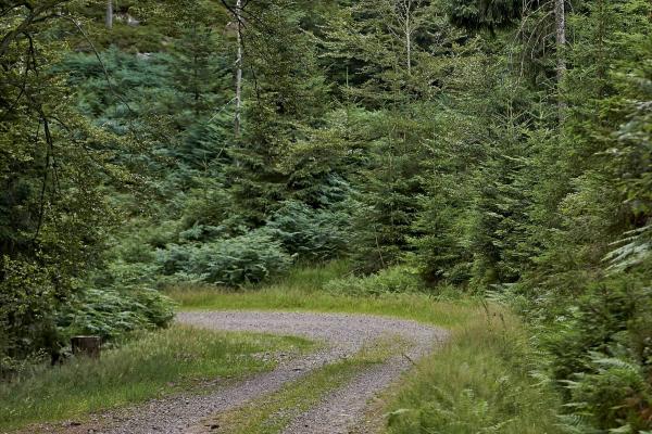 Circuit poussettes 4x4 C03 : la vallée de la Falle