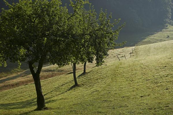 Circuit vélo C16 : Sur les versants de Salm