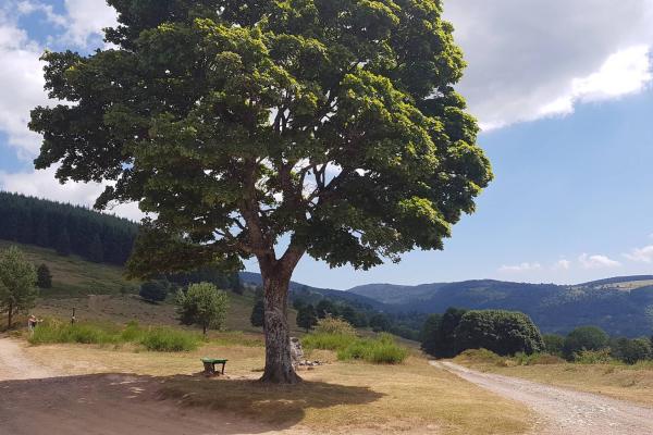 Circuit poussettes 4x4 C02 : autour du col de la Perheux