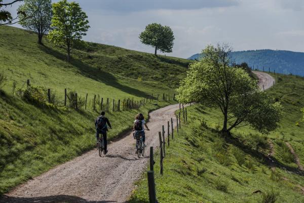 Circuit vélo C20 : Entre principauté de Salm et comté du Ban de la Roche