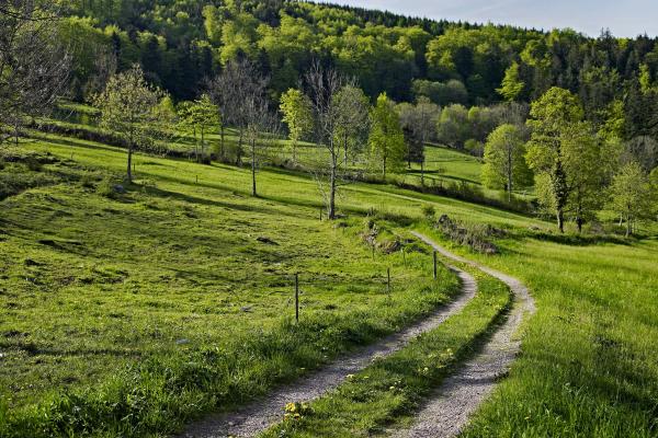 Circuit vélo C21 : Des Quelles à Bellefosse