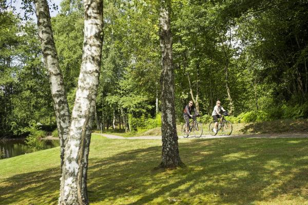 Circuit vélo D03 : Framont et Plaine, les vallons de part et d'autre du Donon