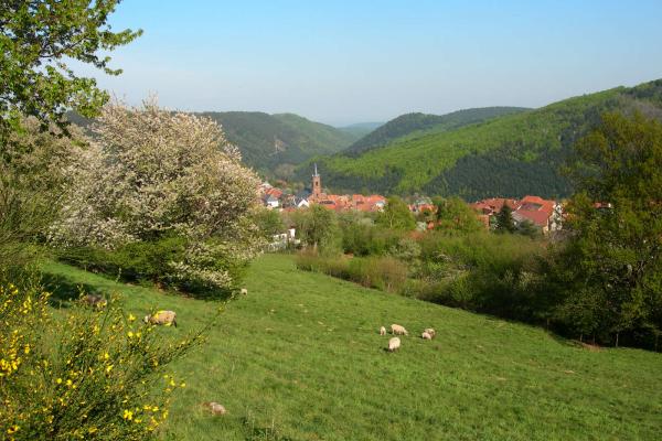 Circuit poussettes B02 : Sur les hauteurs de Grendelbruch