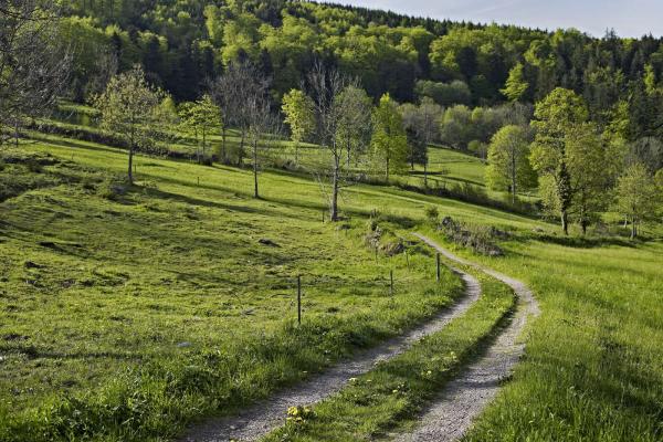 Circuit VTT CDF01 : Autour du Champ du Feu