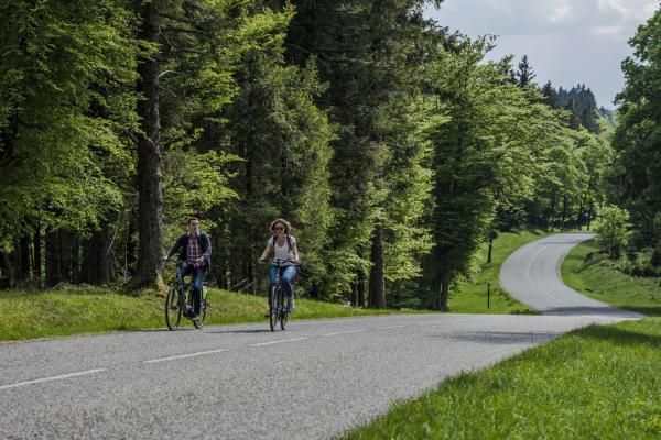 Circuit vélo CDF01 : Autour de la chaume des Veaux