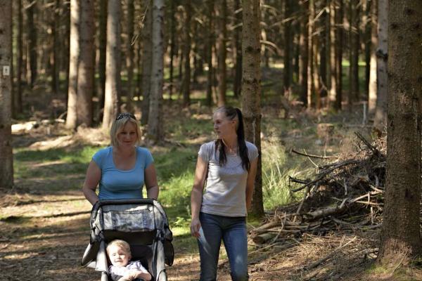 Circuit poussettes 4x4 CDF01 : De Bellefosse au point de vue de la Boucherie