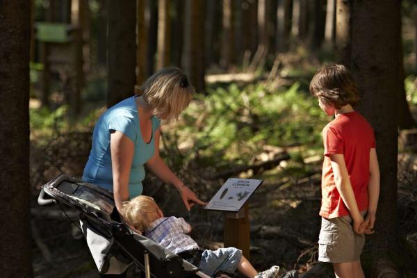 Circuit poussettes 4x4 C06 : Le tour des Hauts Evaux en partant de Salm