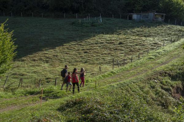 Circuit poussettes 4x4 C07 : Du bas au Haut Sommerhof