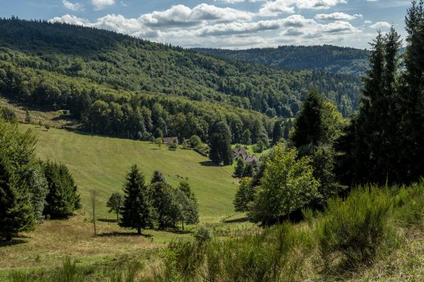 Circuit poussettes 4x4 H05 : La clairière du Hang-parcours 2