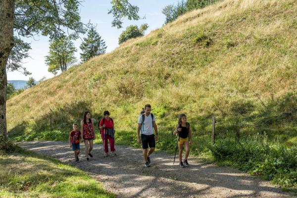 Circuit poussettes B03 : De Muhlbach au col de Grendelbruch