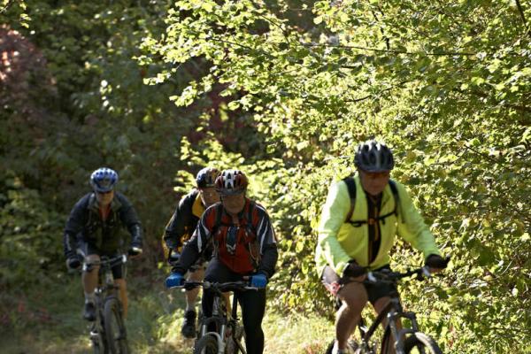 Circuit VTT CDF03 : La côte 1000 vers le Mont Sainte-Odile