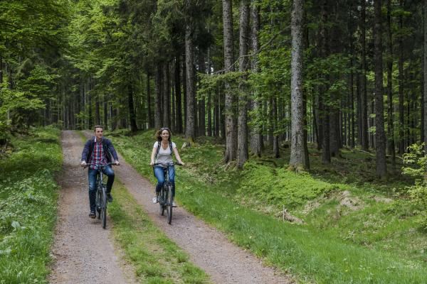 Circuit VTT CDF02 : Du Sommerhof à la Serva par le Champ du Feu