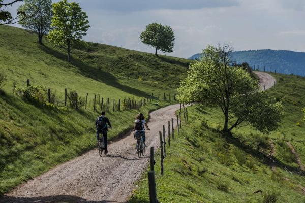 Circuit VTT C09 : La vallée du Netzenbach