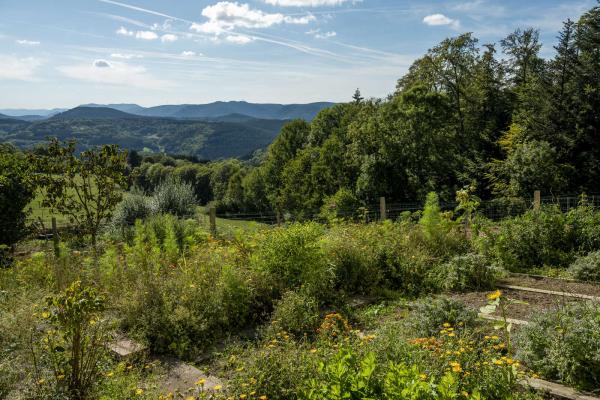 Circuit VTT H07 : Du Promont à Stampoumont