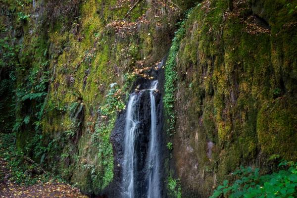 Circuit VTT B05 : De Urmatt à la cascade de Soultzbach