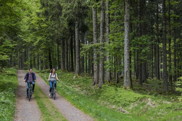 Circuit VTT C19 : De la croix du Jacques à la Drille