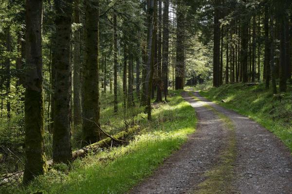 Circuit vélo H08 : A/R De Saales au col du Hantz en passant par la Lorraine