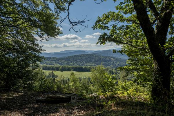 Circuit VTT B08 : Sous les sommets du versant est