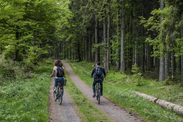 Circuit VTT C21 : Sur les hauteurs des Hauts Fourneaux