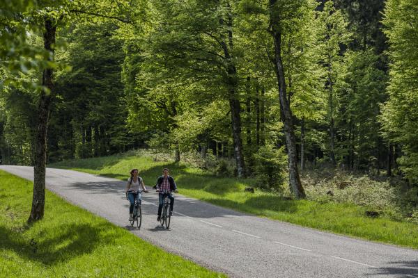 Circuit VTT C25 : Sur les hauteurs de Schirmeck VARIANTE