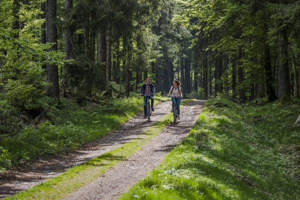 Circuit VTT CDF05 : Entre Belmont et le col de la Charbonnière