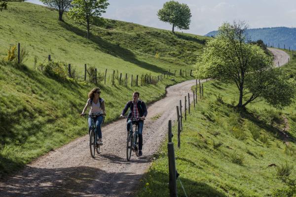 Circuit VTT D04 : Sur les contreforts alsaciens du Donon