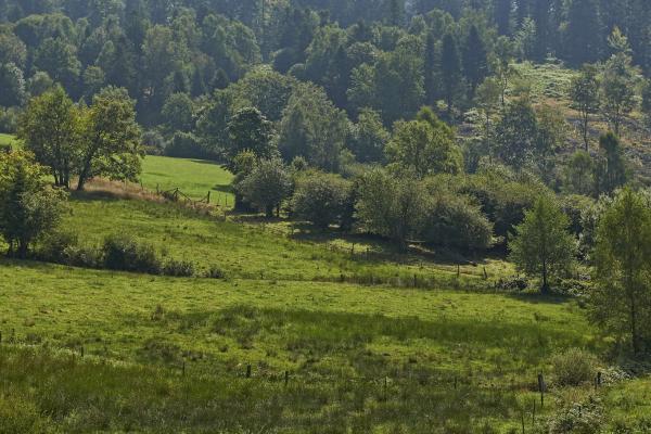 Circuit VTT H13 : Balade sur le versant Vosgien depuis le col de Prayé